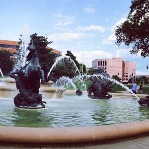 Meet your Posher, Sam